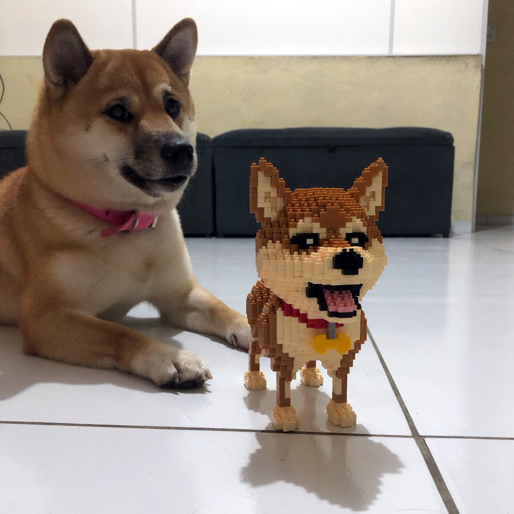 Tahu membangun Shiba Inu Model - Kids Education Recreation ulasan dan harga